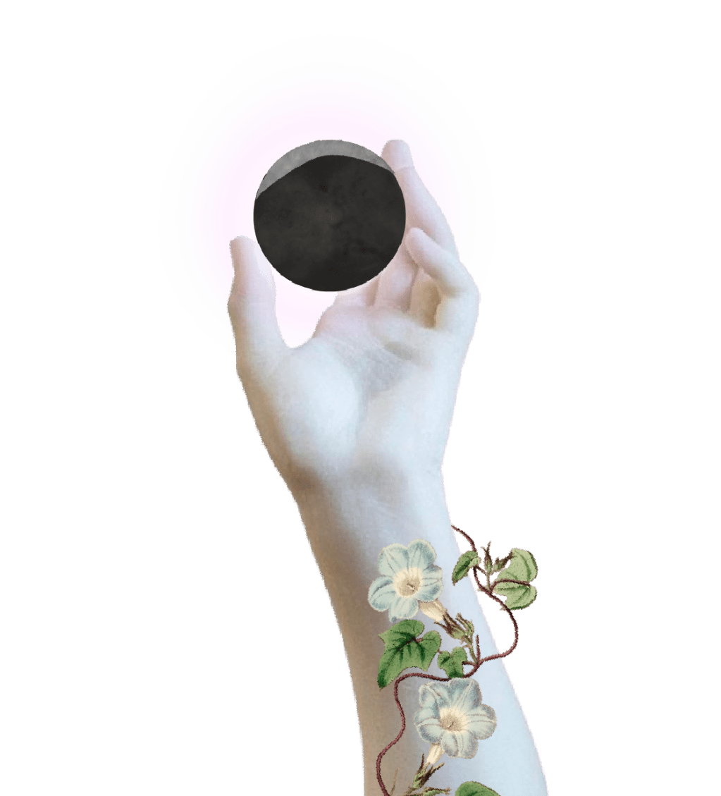 Sunset on the&nbsp;Point