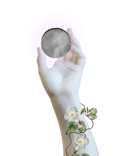 The Long Road Through&nbsp;Virgil